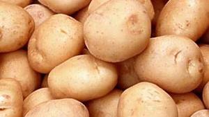 Papa Orgánica – Ingrediente Dulce, Fresco y Natural para Cocinar, Hacer Bocadillos y Hornear // Mr.Tom - Product Image 6