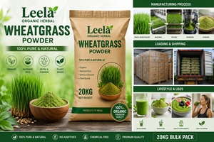 Wheatgrass Powder – Nutrient Rich Green Superfood for Health Supplements, Smoothies, Cosmetics & Nutraceutical Applications - Product Image 4