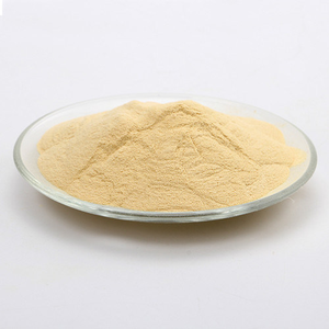 Extrait de levure de qualité supérieure 100 % pur et naturel, poudre aromatisante à base de levure, riche en protéines, acides aminés et nutriments, provenant d'Inde - Product Image 4