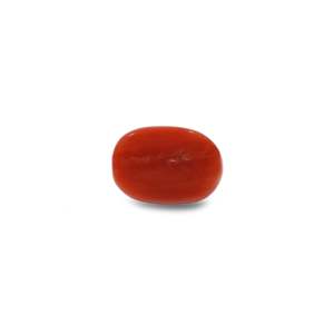 Loose Natural Red Coral 9.9 Carat Certified Wholesale Crystal - Product Image 2