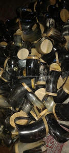 Collections de cornes à boire écologiques polies de style animal fabriquées à la main authentiques ensemble de gros prix d'usine Inde pour la maison - Product Image 6