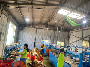 Platos Desechables de Nuez de Areca de Pangreen Global Corporation, 100% Compostables y Biodegradables, Platos Ecológicos para Fiestas, Vietnam - Product Image 5