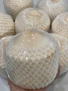 Coco Fresco Joven en Forma de Diamante - Origen Vietnam Premium - Naturalmente Dulce y Refrescante - Calidad de Exportación // Mr. Tom - Product Image 5