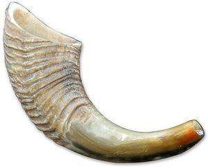 Shofar de cuerno de carnero - Product Image 1