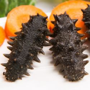 Mejor precio Pepino de mar seco/pepino de mar a precio competitivo - Product Image 1