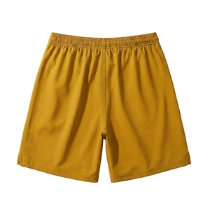 Shorts de plage pour hommes, cordon de serrage, taille élastique, tissu à séchage rapide, shorts décontractés d'été pour l'extérieur - Product Image 3