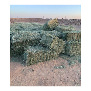 Foin d'herbe de Rhodes à bas prix, qualité supérieure, vente en gros - Product Image 3
