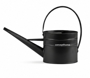 Arrosoir en métal avec poignée en laiton pour le jardinage, design durable - Product Image 4