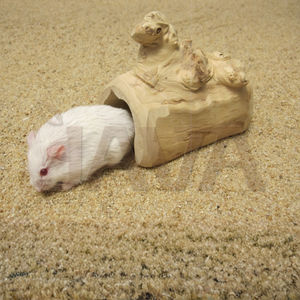 Terrario/Vivario Decorativo Ecológico de Madera para Escalada, para Reptiles y Anfibios, Tamaño Mediano - Product Image 5