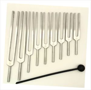 ชุดส้อมเสียงสแตนเลสสตีลแบบถ่วงน้ำหนักสำหรับจักระ พร้อมโลโก้สั่งทำ ความถี่ 64-512Hz คู่มือการใช้งานสำหรับการบำบัดด้วยเสียง - Product Image 5