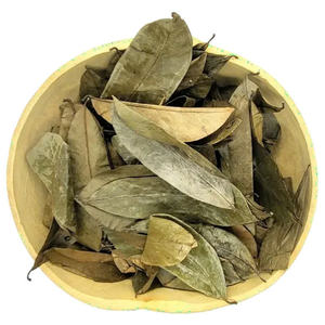 Vente en gros de thé aux herbes et feuilles de corossol séchées biologiques 100% fraîchement cueillies à la main par l'exportateur de haute qualité, bon pour la santé - Product Image 6