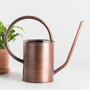 Arrosoir en métal à long bec pour arrosage de précision des pots et plantes suspendues, prix de gros du fabricant - Product Image 1