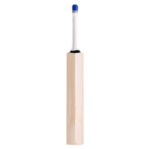 Nouvelles mallettes de cricket en saule anglais de qualité supérieure, taille standard, légères, durables, écologiques, pour usage sportif, couleur unie, mallette de cricket simple. - Product Image 4