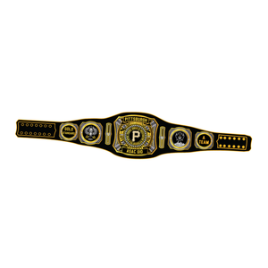 Pittsburgh ASAC GIO Team Championship Belt Gold Standard High Quality Sports Title Belt Exclusive Collector's Item - Product Image 6
