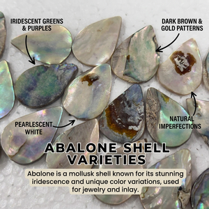 Premium Natural <b>Abalone</b> <b>Shell</b> Cabochons Iridescent Paua <b>Shell</b> Flatback Stones Bone Multi Colored for Jewelry Making <b>Shells</b> - Product Image 6