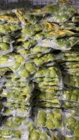 Biologische IQF Diepvries Avocado Halves 30kg Karton Gemaakt in Vietnam Hoge Kwaliteit Diepvries Fruit in Bulk / Mevr. Tina +84 96 871 5470