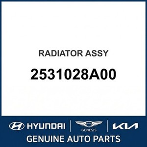 Radiadores Nuevos para Elantra 2531028A00 - Product Image 1