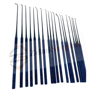 Rhoton Micro Dissector Set 19 PCS Titanium <b>Neurosurgery</b> Microsurgical <b>Instruments</b> Kit Neuro Micro Dissection Tools OEM CE - Product Image 2