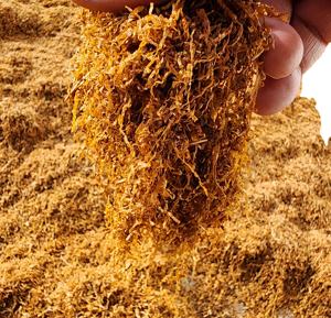 3. Mezcla de Hierbas Naturales Alternativas Golden Indian para Liar, Mezcla Americana Spirit Golden Herbs Virginia Amber Leaf - Product Image 6