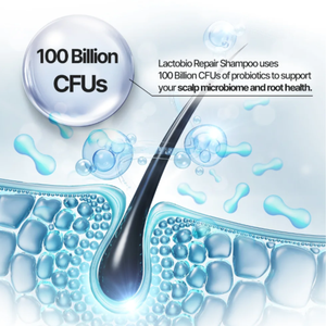 Champú Probiótico Coreano SMIB LactoBio para Reparación del Cuero Cabelludo, Anti-Frizz, Nutritivo, Espuma Herbal para el Cuidado del Cabello, Equilibrio Capilar, Uso Diario, Cabello Fino - Product Image 2