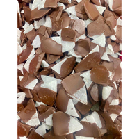 Op maat gemaakte chocolade gedipte kokosvlokken gedroogd fruit snack zoete kokoschips retail geschenkverpakkingen groothandel leverancier fabriek