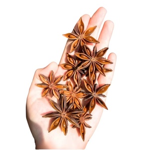 [Producción de Primavera] Anís Estrellado de Vietnam, Granulado Crudo Seco Procesado, 10 kg, Sabor Picante, a Granel, Condimento Granulado, Venta al por Mayor - Product Image 1
