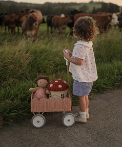 Panier de rangement artisanal en forme de chariot orné de coquillages, vente en gros, écologique, fabriqué au Vietnam, prêt à être expédié - Product Image 2