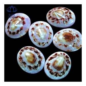 EN STOCK Coquille de limette adaptée à la protection de la peau et au confort personnel, surface lisse et polie pour un contact doux - Product Image 5