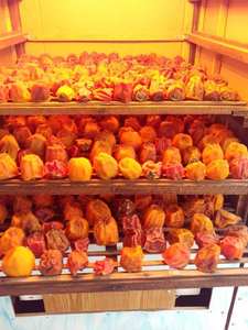 Collation aux fruits naturels kaki séché doux Vietnam fait avec du kaki mûr frais goût sucré vucuum Pack kaki séché doux - Product Image 3