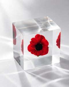 Modern Custom Acrylic Picture <b>Stand</b> for Eco-friendly Square Design Black Polished Clear Solid Infix for Stunning - Product Image 1