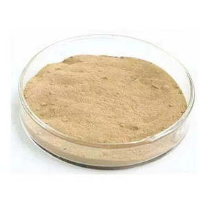Poudre d'enzyme de bromélaïne 2500 GDU, enzyme protéolytique de haute puissance, d'origine végétale, pour une digestion rapide des protéines - Product Image 3