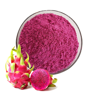 Exportateur de poudre de fruits naturels, poudre de fruit du dragon du Vietnam - Product Image 3