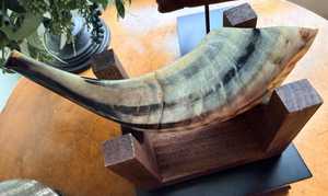 High Quality Natural Rams Horn Shofar <b>9</b> inches with Wooden Stand | best ram horn shofar for beginners - Product Image 2