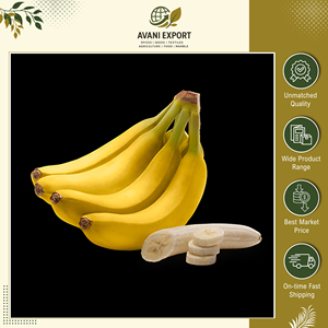 Mejor Precio de Mercado, Gran Oferta en Plátanos Frescos de Primera Calidad, Sabor Dulce, Naturales y Orgánicos, de un Fabricante Indio - Product Image 2