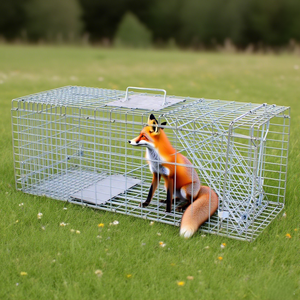 Набор гуманных ловушек для живых животных для гуманного вылова грызунов, маленьких кошек, кроликов, белок, опоссума, сквайра, енота - Product Image 6
