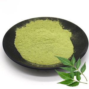 Bestseller 100% Natural Neem Leaf Powder Fine <b>Mesh</b> Cosmetic Grade Neem Powder Bulk Supply from India for Care of Hair - Product Image 1
