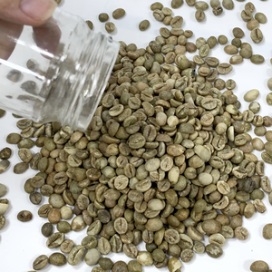 Grains de café vert de qualité supérieure du Vietnam, Arabica, prix direct de la ferme, grains de café vert, meilleur prix compétitif, vente en gros au Vietnam - Product Image 6