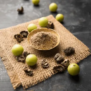 Polvo de Amla Herbal Puro para el Control de la Caída del Cabello, Brillo de la Piel y Suplemento para la Salud, Polvo de Grosella de India, Suministro al por Mayor OEM - Product Image 1