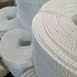 10mm 12mm 9mm PP corde torsadée 3 brins en gros, corde en polypropylène, corde tressée PP, fabriqué au Vietnam PP Danline corde - Product Image 2