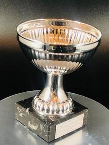 Trofeo de Metal Hecho a Medida por Fabricante Indio para Ceremonia de Premiación de Ventas Inmobiliarias, Disponible para Suministro al por Mayor - Product Image 2