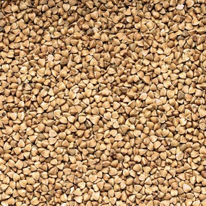 Litière de sarrasin pour hamsters, rafraîchissante et respirante, naturelle, brune, séchée, paquet de 10L - Product Image 5