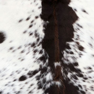 Alfombra de piel de vaca auténtica, piel de vaca premium con pelo, para sala de estar, dormitorio, decoración interior rústica - Product Image 3