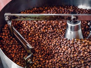 กาแฟโรบัสต้าคั่วบดพิเศษเกรดพรีเมียม, จัดจำหน่ายขายส่งโดยตรง, ได้รับการรับรองจาก USDA, แบล็คแอนด์บรัคเกิ้ล 0.1% - Product Image 5