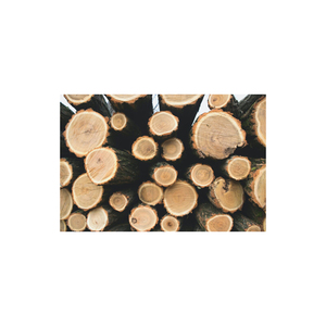 Wholesale distributor of kiln-dried Pine <b>Logs</b> for firewood and <b>heating</b> - Product Image 4