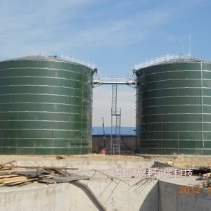 Lebensmittelabfall-CSTR-Biogas-Anaerobfermenter/Reaktor-Ausrüstung/Maschine - Product Image 1