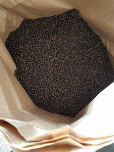 Vente chaude de POIVRE NOIR du Vietnam séché cru 250GL 450GL 500GL 550GL 570GL avec processus de séchage à prix réduit AD - Product Image 3