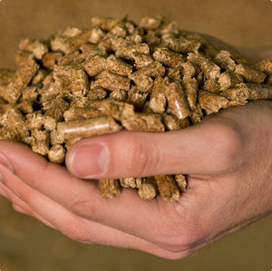 Pellets de Madera de Pino Natural Enriquecidos con Resina para Calderas Industriales Grandes, Sistemas de Energía Renovable y Rendimiento de Calefacción Doméstica - Product Image 5