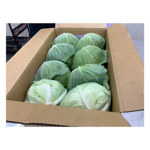 Verduras Frescas de Calidad Superior: Hojas de Camote Japonés, Rábano, Repollo y Brócoli - Product Image 1