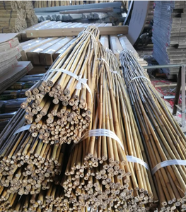High Grade Bamboo <b>Pole</b> Cheap Price LOW TAX -Wholesale Raw Bamboo - <b>Garden</b> Support - Product Image 5