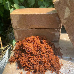 Eco2go Vietnam Tourbe de coco biologique en bloc de 5 kg |   Tourbe traitée à faible teneur en EC, écologique, pour la culture de fleurs et de légumes - Product Image 1